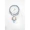 Usg 412In 12In 01000Psi Npt Pressure Gauge 170032 170032SSLG XR-81 - alternate 1